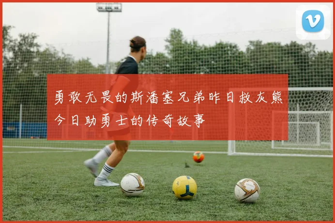 勇敢无畏的斯潘塞兄弟昨日救灰熊今日助勇士的传奇故事