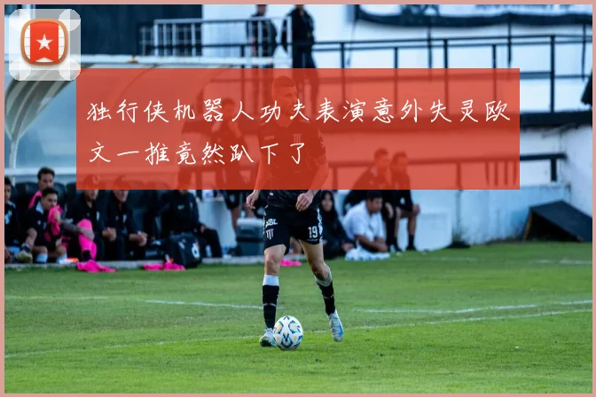 独行侠机器人功夫表演意外失灵欧文一推竟然趴下了