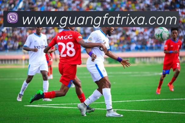 App Interface Preview