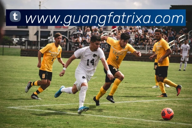 数据防护可视化